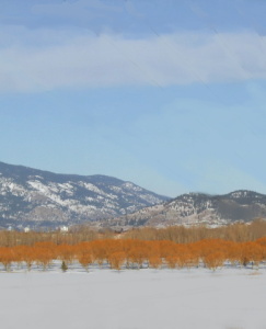 Winter landscape yellow 1